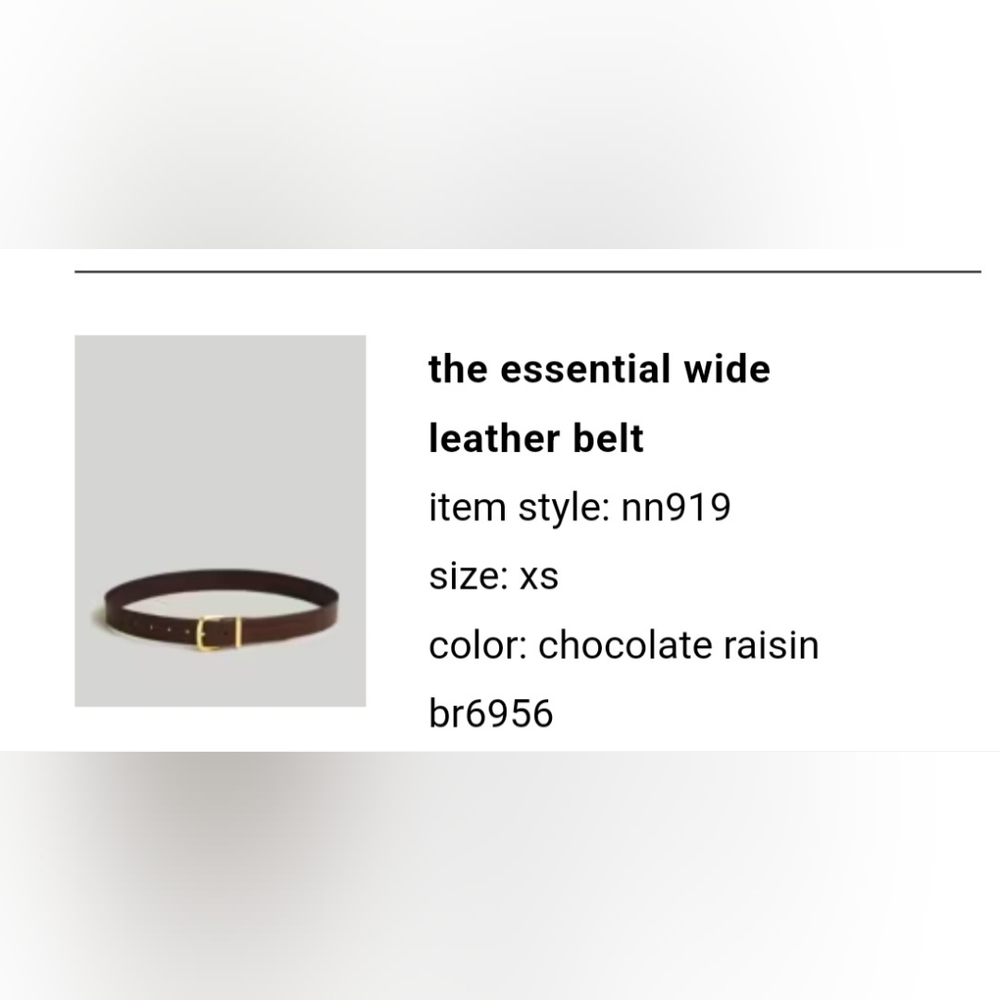 Madewell The Essential Wide Leather Belt